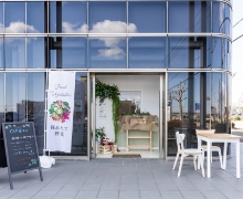 Café Salon Kiranasu